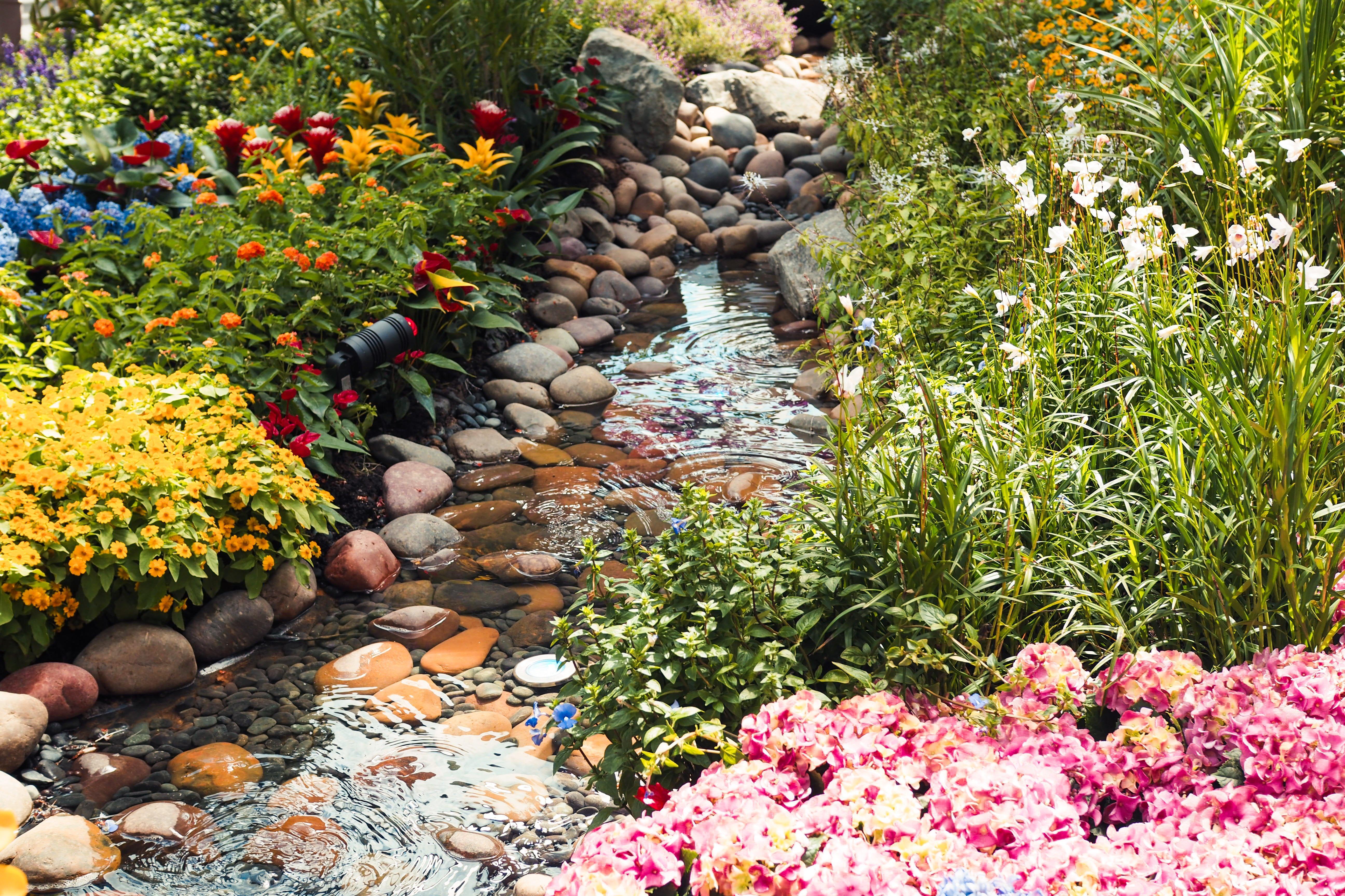 فندق كراون بلازا مطار شانجي سنغافورة المظهر الخارجي الصورة The photo depicts a serene garden scene featuring a small, gently flowing stream meandering through an array of colorful flowers and plants. On either side of the stream, vibrant blooms can be seen, including clusters of yellow and pink flowers, alon