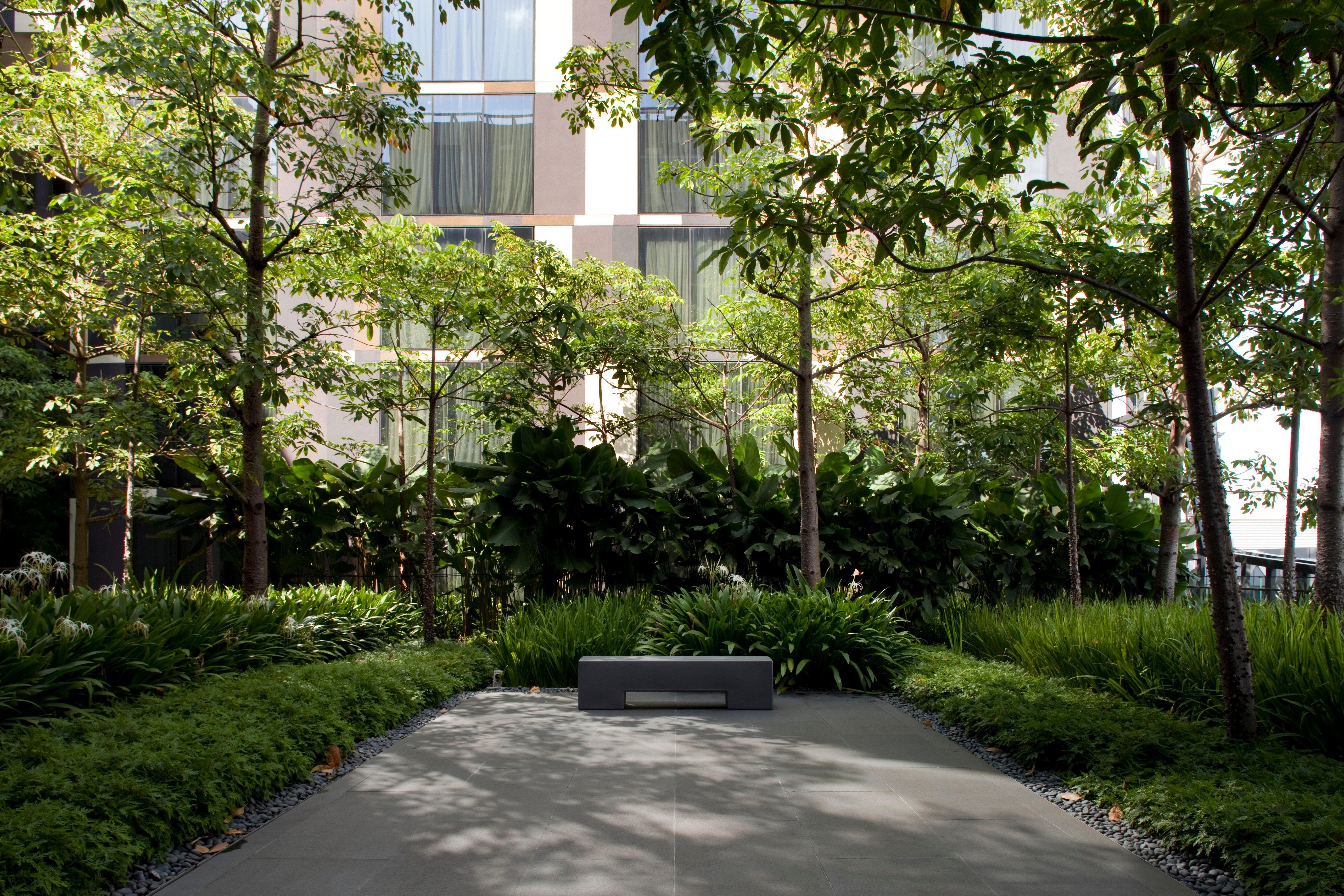 فندق كراون بلازا مطار شانجي سنغافورة المظهر الخارجي الصورة The photo shows a landscaped area featuring several trees and lush greenery. In the foreground, there is a smooth, paved surface with a minimalist bench. Surrounding the bench are various plants and grasses, creating a serene and inviting atmosphere.