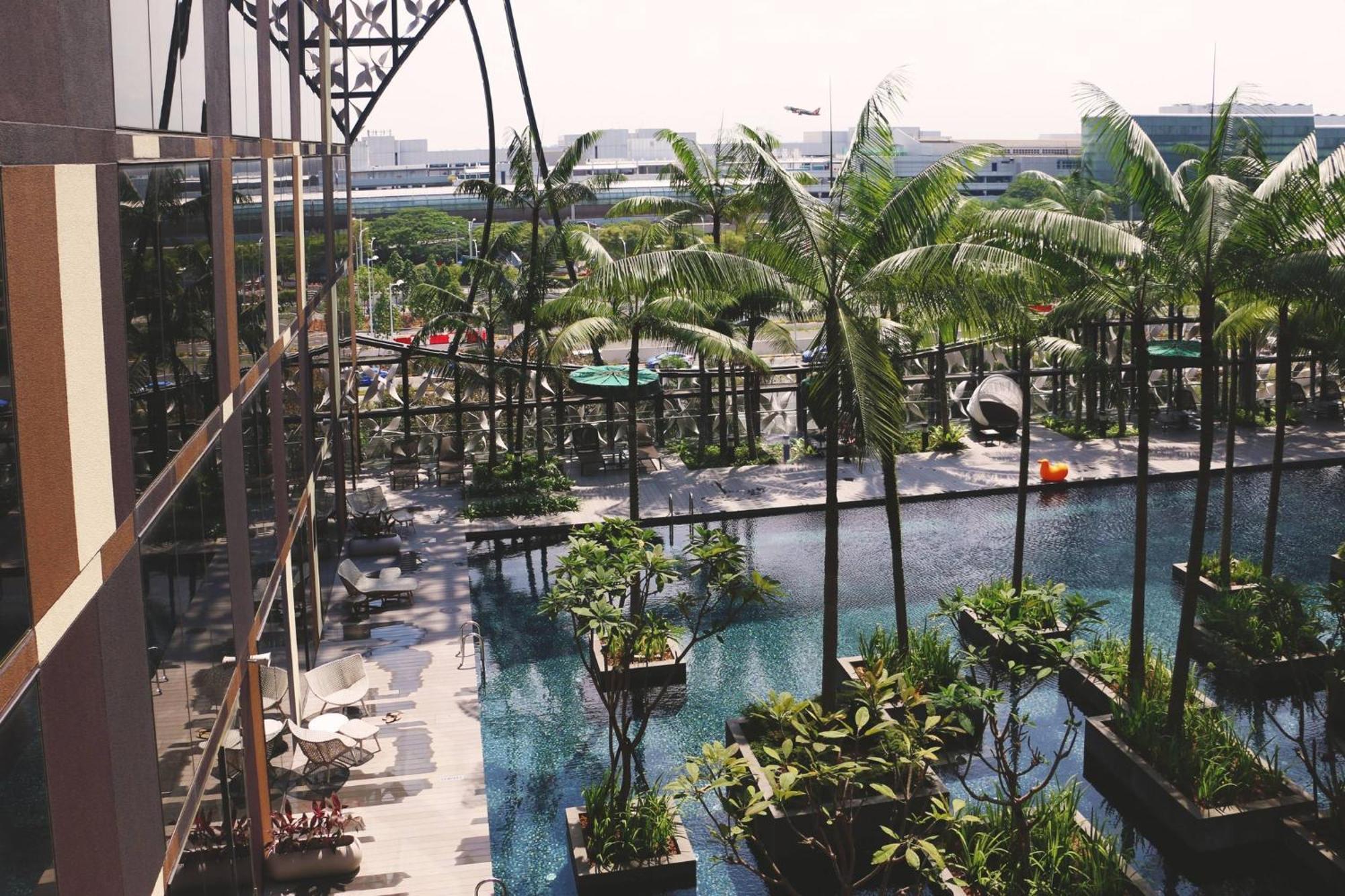 فندق كراون بلازا مطار شانجي سنغافورة المظهر الخارجي الصورة The photo depicts a scenic view from a balcony or terrace, showcasing a luxurious swimming pool surrounded by greenery. There are several palm trees and potted plants, contributing to a tropical atmosphere. The pool area also includes lounge chairs, 